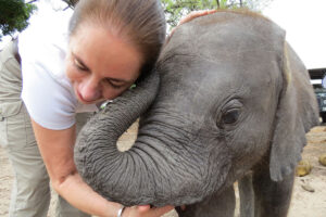 Interaction with Baby Elephants